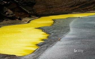 Bing S Best Image Of Wallpaper And Screensaver Pack
