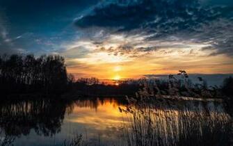 Sunset Lake Rushes HD Wallpaper