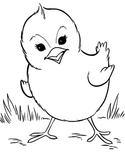 Beauyiful Sweet Little Tweety Bird Colour Drawing HD Wallpaper