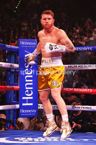 Canelo Alvarez V Caleb Plant Las Vegas Image Boxing Posters