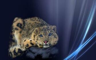 Abstract Animals Wallpaper Lines