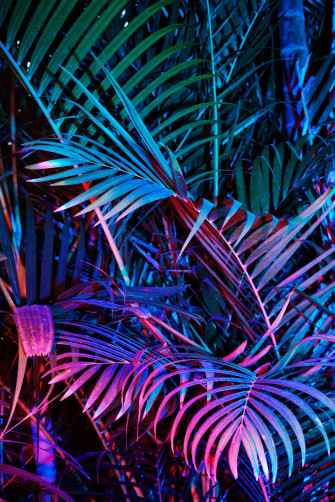 Neon Color Wallpaper