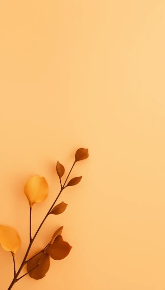 Brown Aesthetic Phone Wallpaper