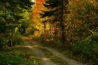 Lake Superior Provincial Park Canada Wallpaper Size