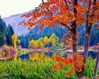 Fall Foliage Washington