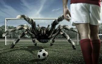 Tarantula Goalkeeper Wallpaper