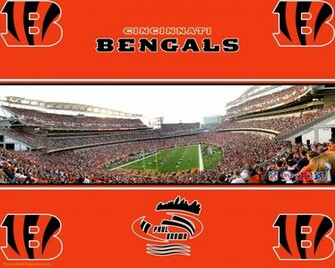 Cincinnati Bengals Wallpaper HD Res