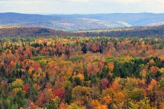 Description Vermont Fall Foliage Hogback Mountain Jpg
