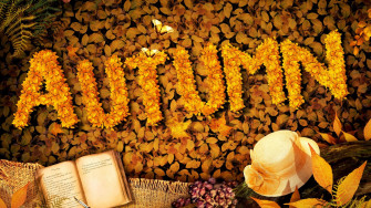 Autumn Art