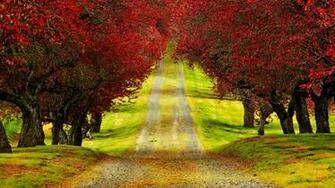 Wallpaper On Your Desktop In Os Operating System Or Right Click
