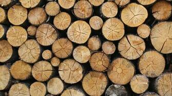 Logs Texture Wallpaper iPhone Android Desktop Background