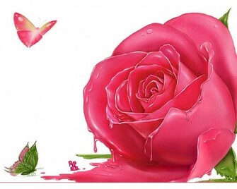 Roses Background Wallpaper Flower