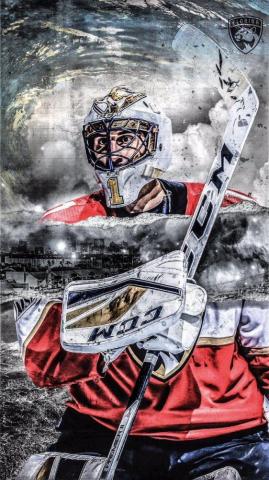 Goaltender Wallpaper