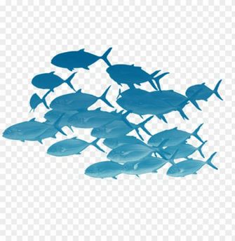 School Of Fishes Png Fish Transparent Image With