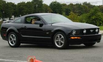 Black Mustang Gt The Source