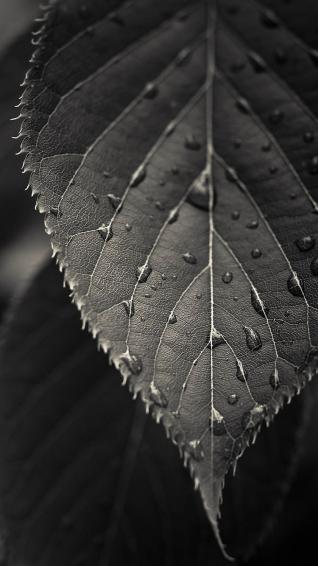 Samsung J2 Wallpaper Full HD Pictures In Htc