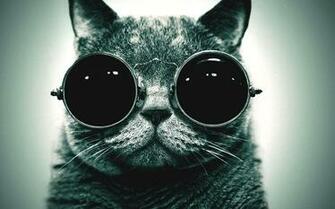 Space Cat Wallpaper