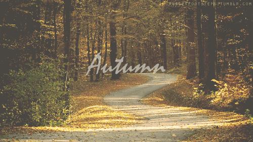 Autumn Background
