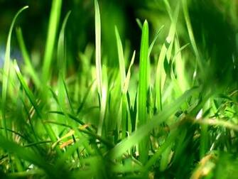 Nature Wallpaper Pack Csarchive Net