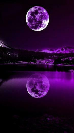 Giftland On Purple Is Bae In