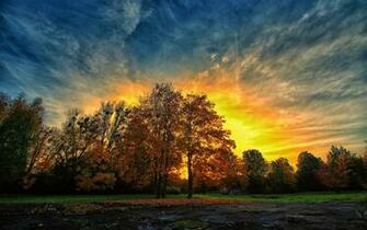 Autumn Sunset Colorful Trees X