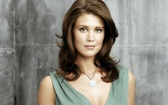 Sarah Lancaster Gorgeous Wallpaper Stock