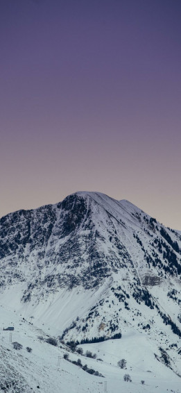Wallpaper
