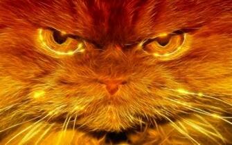 HD Garfield Wallpaper