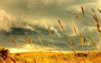 Summer Wallpaper HD
