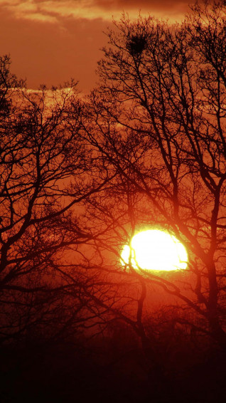 Enjoy The Beautiful Sunshine And Let Life Be Wallpaper