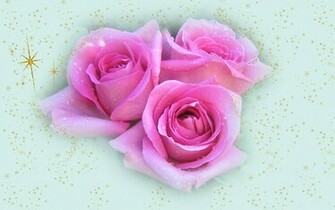 Widescreen Christmas Wallpaper Pink Roses