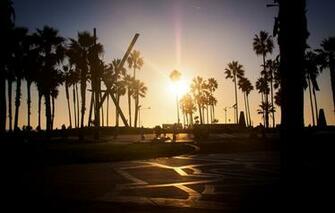 Wallpaper Summer California Sunset Los Angeles Palm Venice