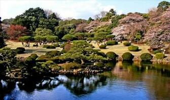 Shinjuku Gyoen Wallpaper HD 4k