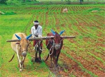 Indian Farmer Wallpaper Top Background