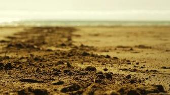Beach Sand Depth Of Field Wallpaper Picture For iPhone Blackberry