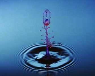 Water Splash Wallpaper