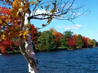 Mainefoliage Photo Gallery The Best Of Years Past