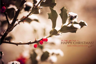 Shot At Desktop Wallpaper Christmas Holly