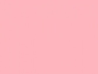 Pink Solid Color Background And The Below