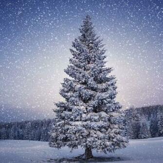 4k Christmas Wallpaper Image