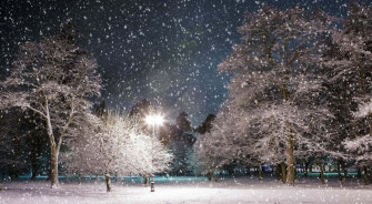Snow Shower Park In 4k Winter Background Wallpaper