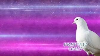 Dove Worship Background Holy Spirit On Vimeo
