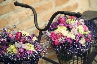Bicycle Flowers HD Desktop Wallpaper Golden Flow