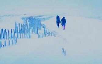 Eternal Sunshine Image Joel Clementine HD Wallpaper And