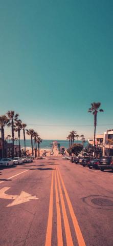 California Beach And Palm Trees Image Los Angeles Wallpaper 4k