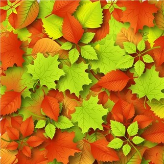 Autumn Leaves Background Greatvectors