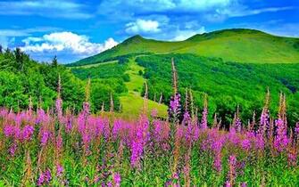 Spring Landscape Wallpaper The Art Mad