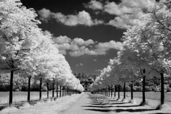 Sky Clouds Sun Rays Day Photo Black White Background Wallpaper Jpg