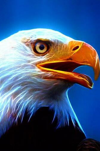 Ultra HD Eagle