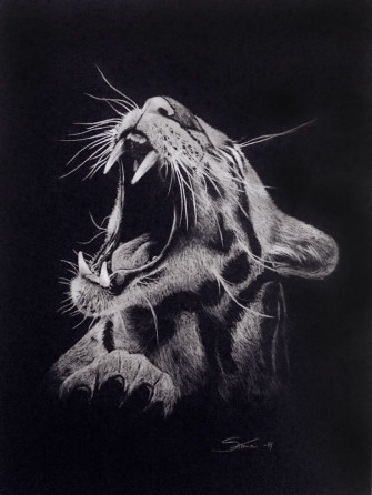 Pencil Drawing Wallpaper Black White